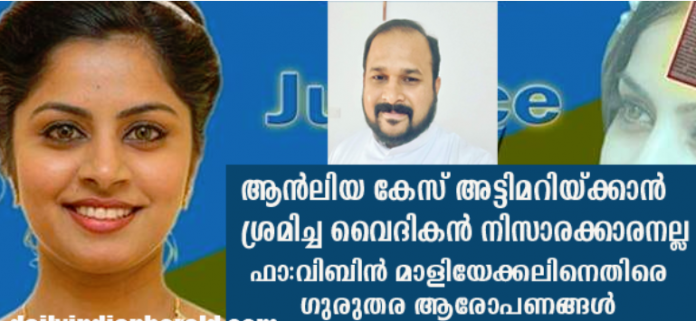 ANLYA -FR VIPIN